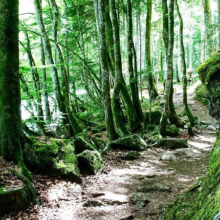 Duplex T4 Clair, Cosy Et Spacieux - 3 2 Salles De Bain Centre Vue Pyrenees * Cauterets